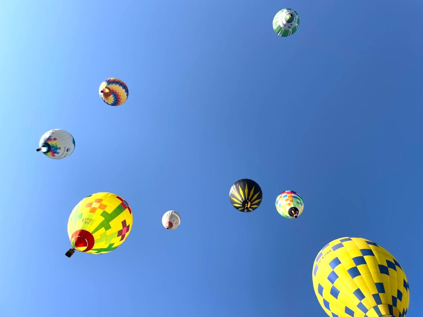 信州・佐久 熱気球フリーフライト 2025/2026 開催！