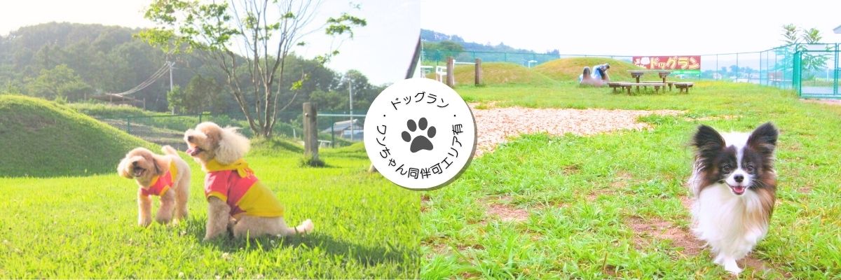 スパリゾートのぞみサンピア佐久　　ドッグラン