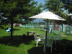 ドッグラン　利用規約変更・登録フォームについてのご案内