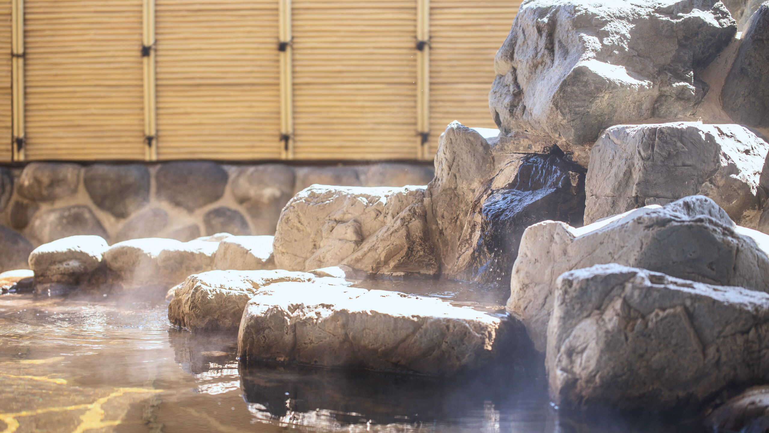 休館日のご案内