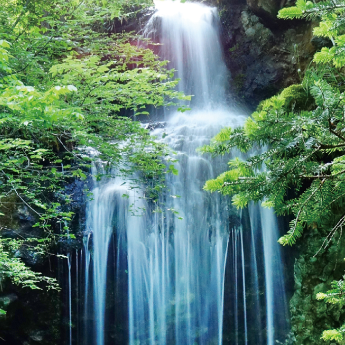 菱野不動滝 菱野不動滝
